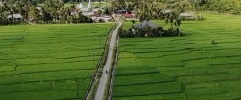 LAHAN PERTANIAN